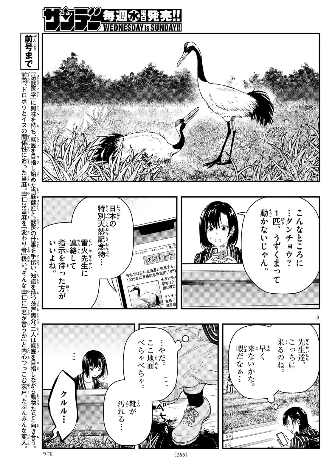 Mizupolo - Chapter 3 - Page 12