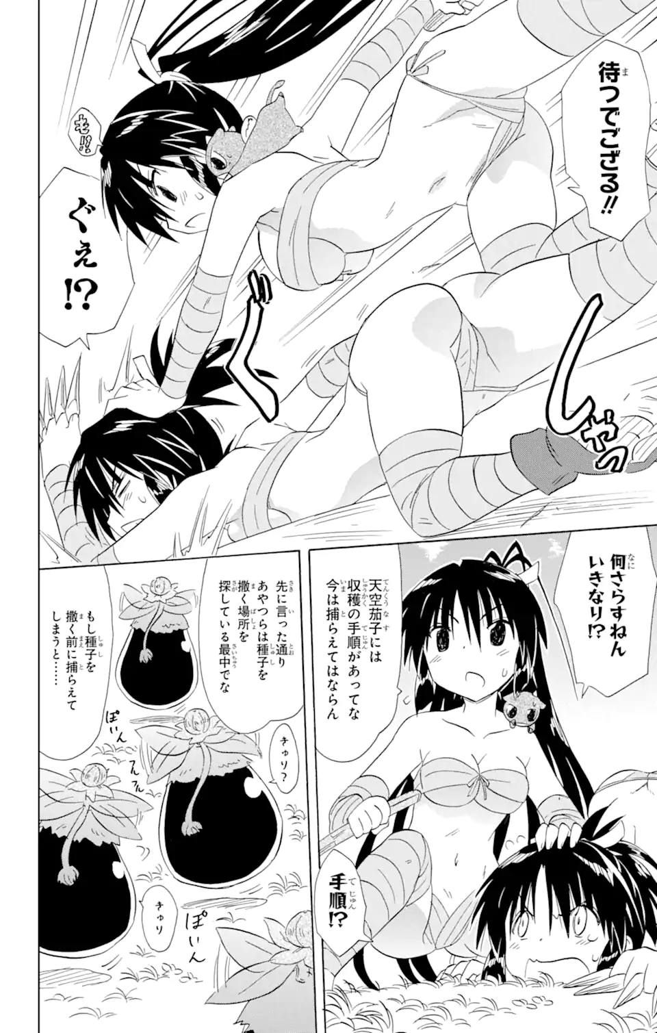 ながされて藍蘭島 Chap 162 - Next Chap 163