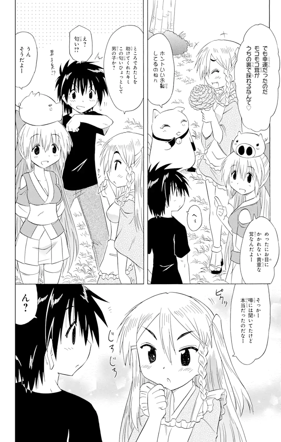 ながされて藍蘭島 Chap 185 - Next Chap 186