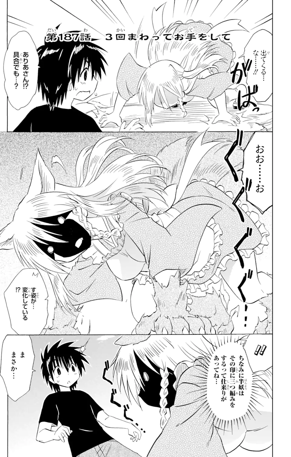 ながされて藍蘭島 Chap 187 - Next Chap 188