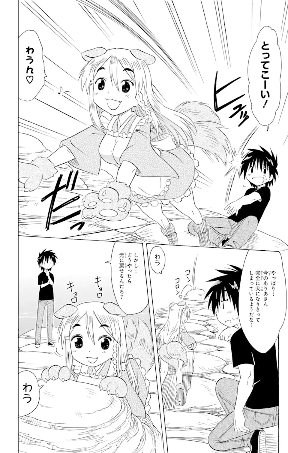 ながされて藍蘭島 Chap 187 - Next Chap 188