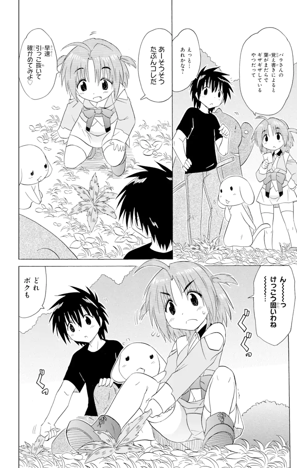 ながされて藍蘭島 Chap 189 - Next Chap 190