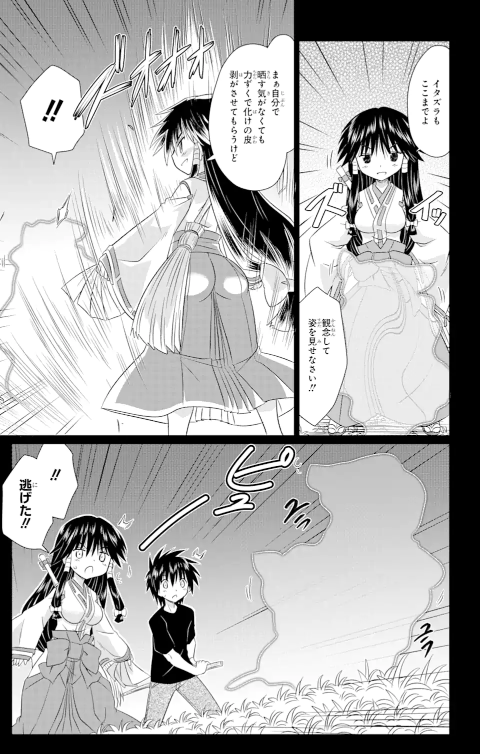 ながされて藍蘭島 Chap 241 - Next Chap 242