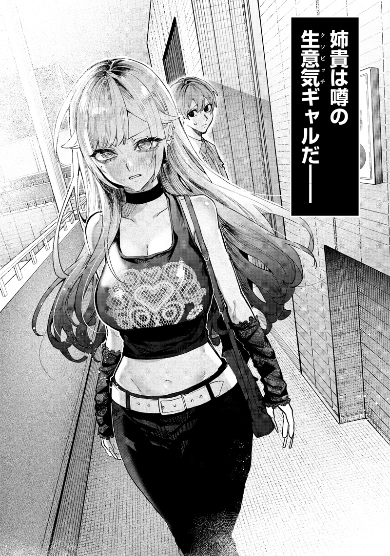 Namaiki na Gal Ane wo Wakaraseru Hanashi - Chapter 1 - Page 14