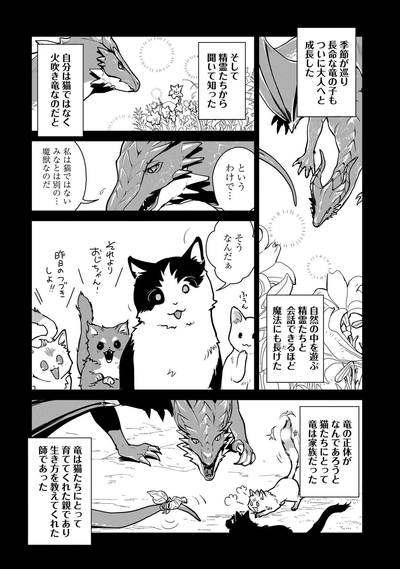 Neko to Ryuu - Chapter 1 - Page 27