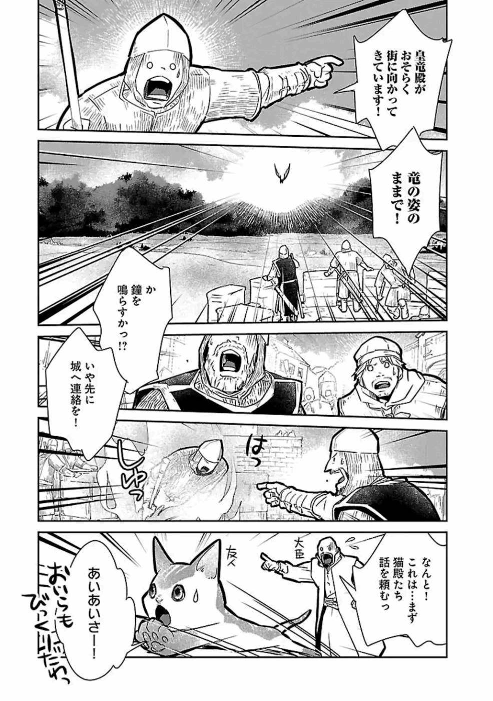 Neko to Ryuu - Chapter 18 - Page 27