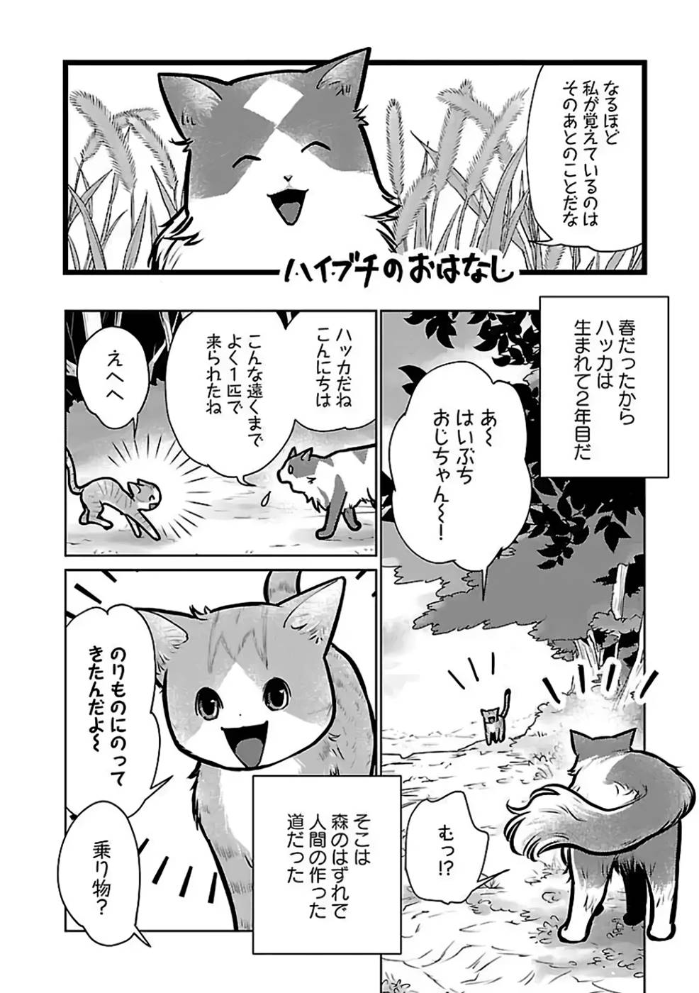 Neko to Ryuu - Chapter 27 - Page 12