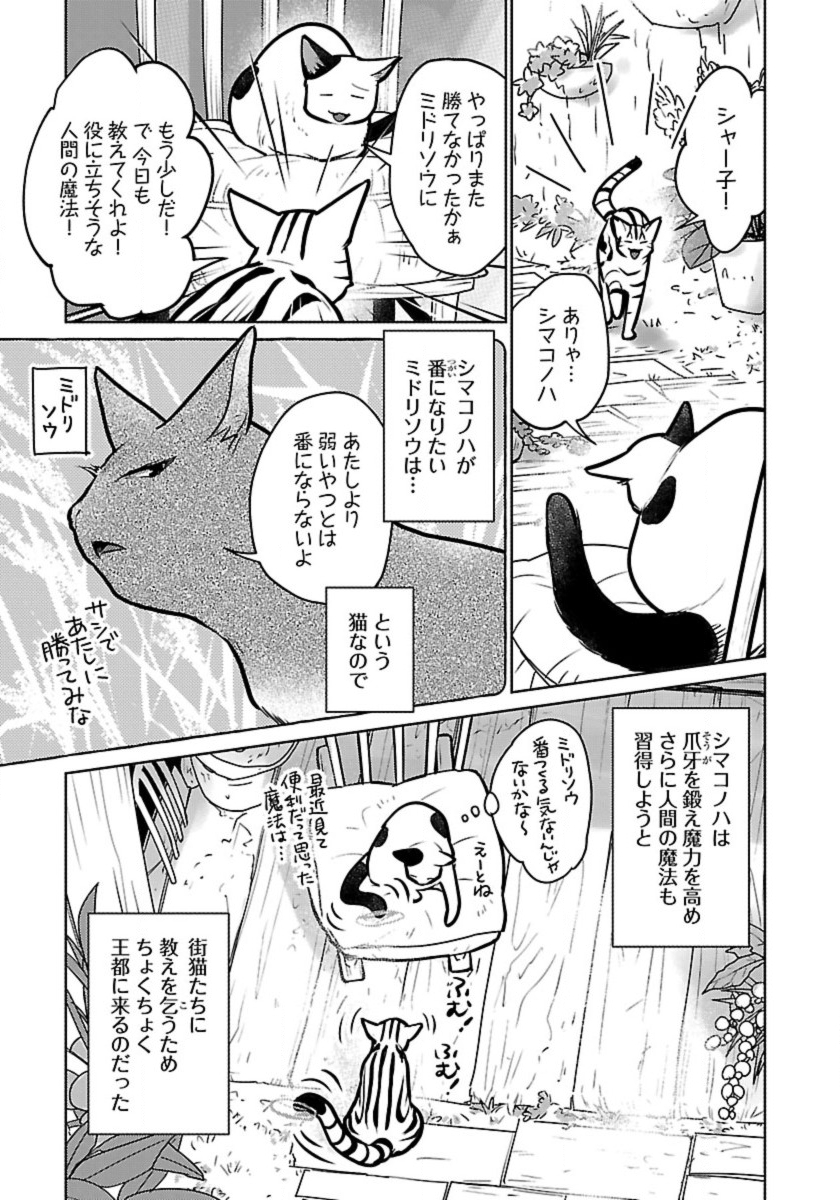 Neko to Ryuu - Chapter 45 - Page 5