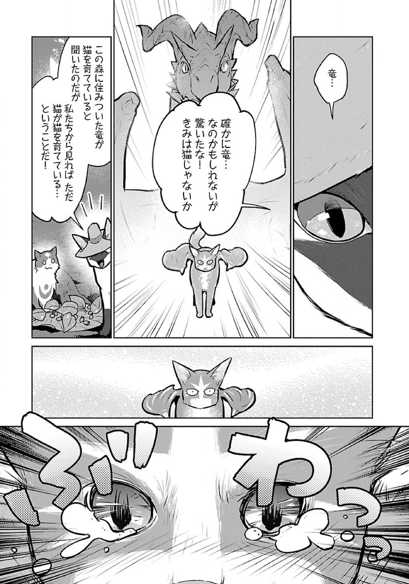 Neko to Ryuu - Chapter 46 - Page 13