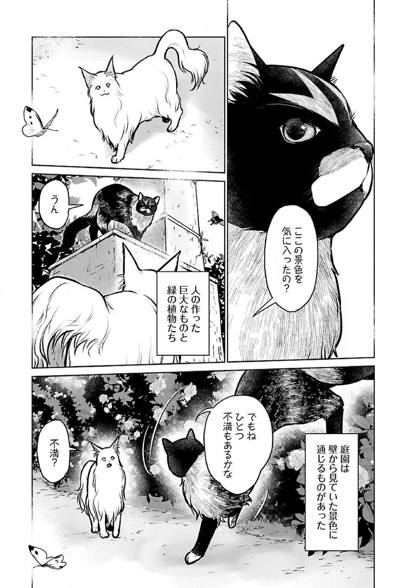 Neko to Ryuu - Chapter 48 - Page 15