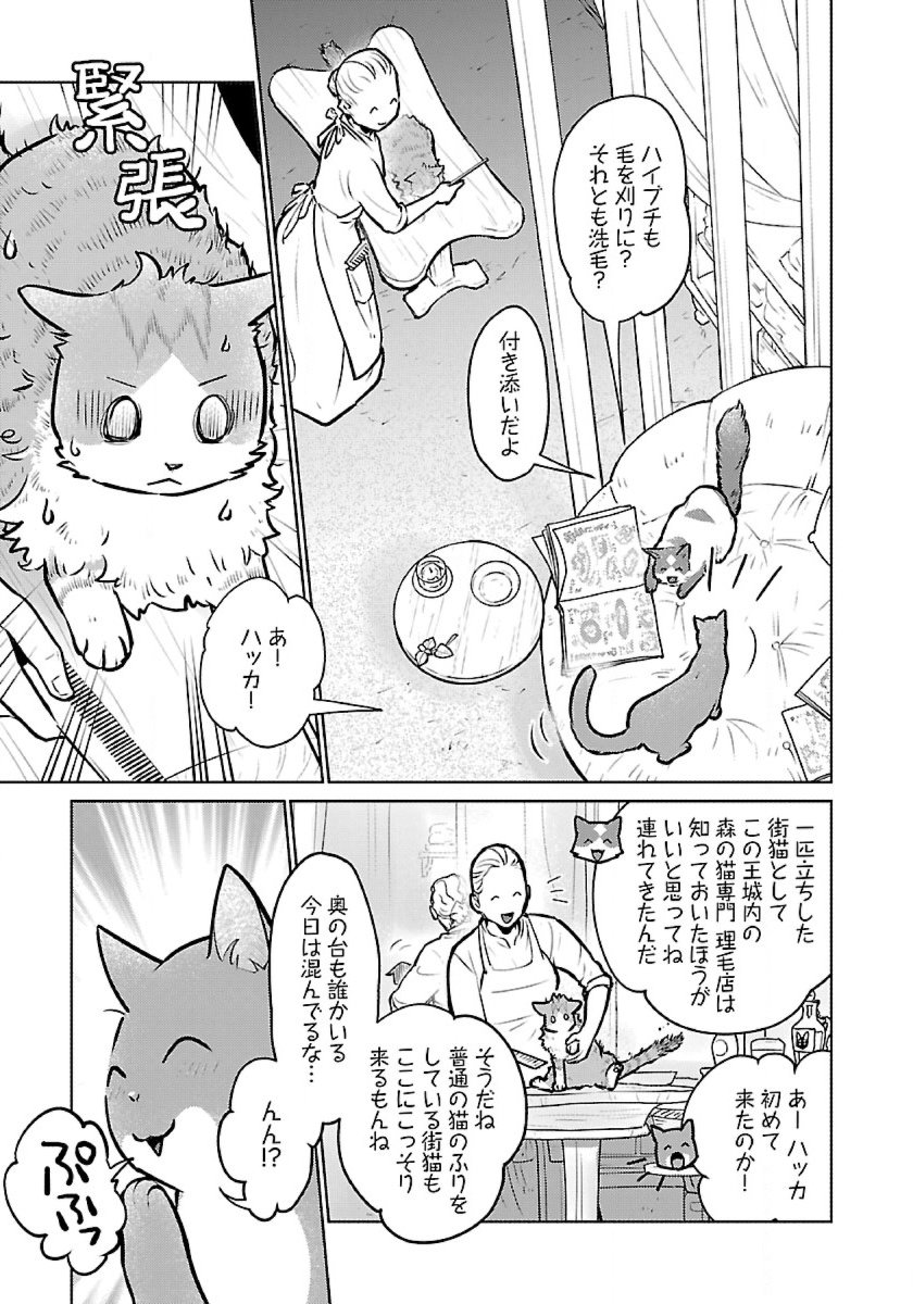 Neko to Ryuu - Chapter 50 - Page 23