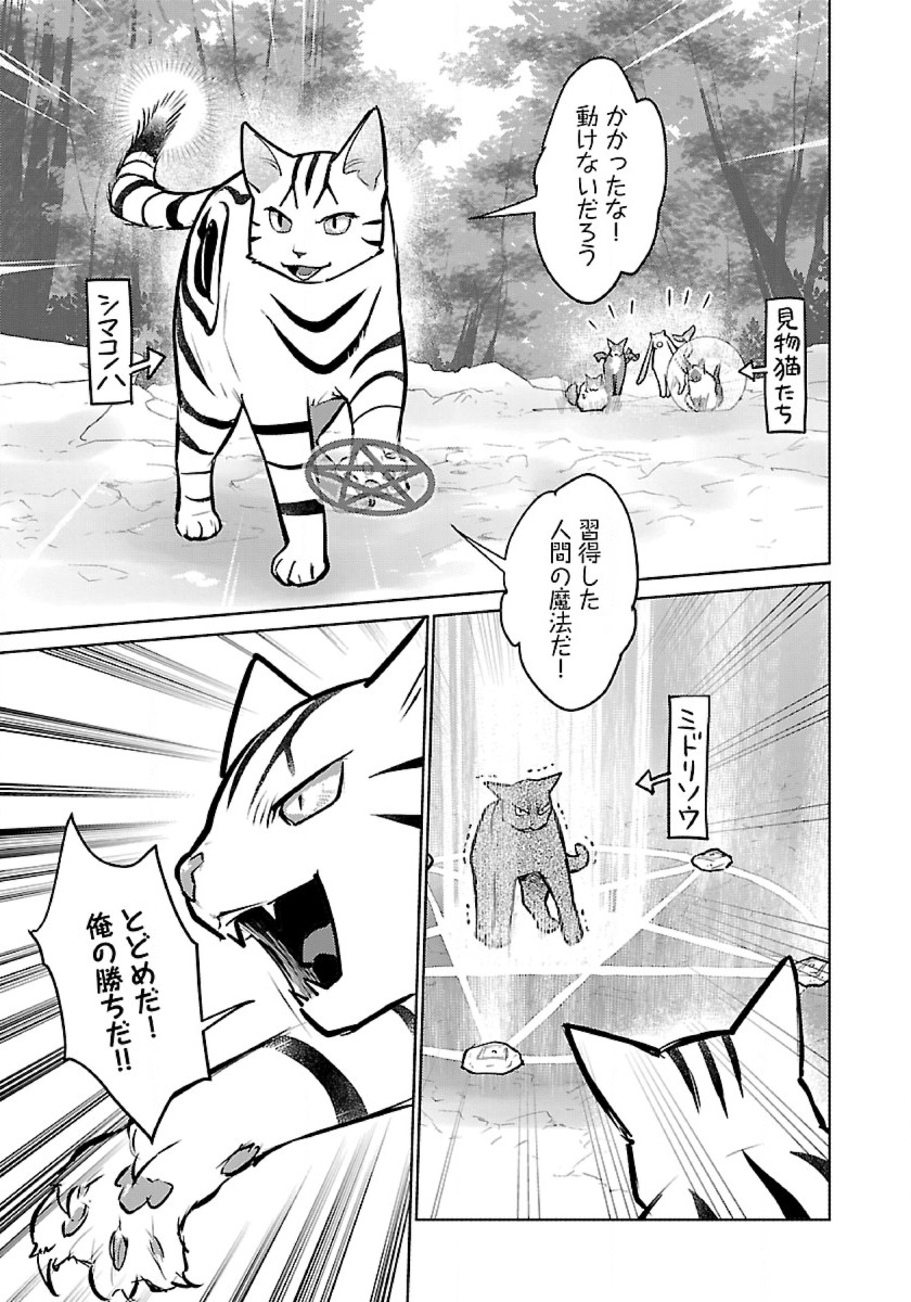 Neko to Ryuu - Chapter 53 - Page 15