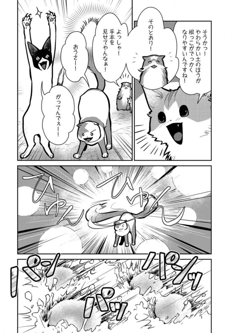 Neko to Ryuu - Chapter 9 - Page 12