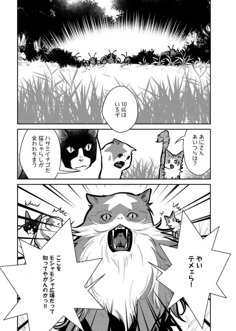 Neko to Ryuu - Chapter 9 - Page 26