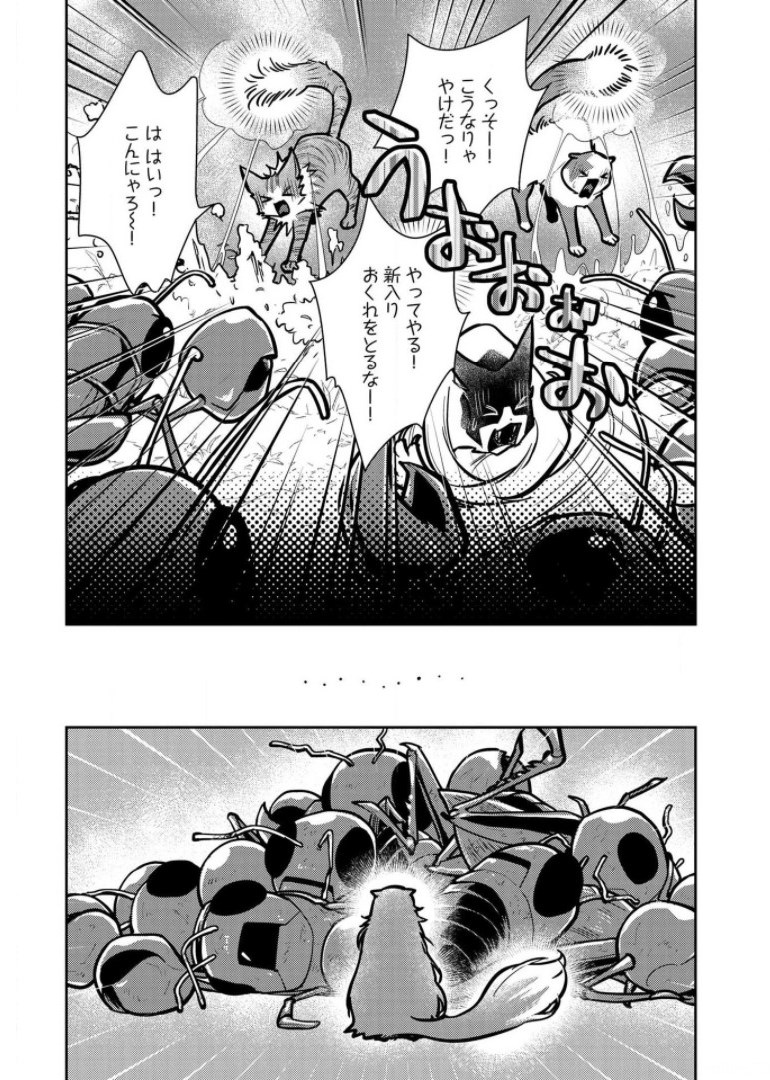 Neko to Ryuu - Chapter 9 - Page 29