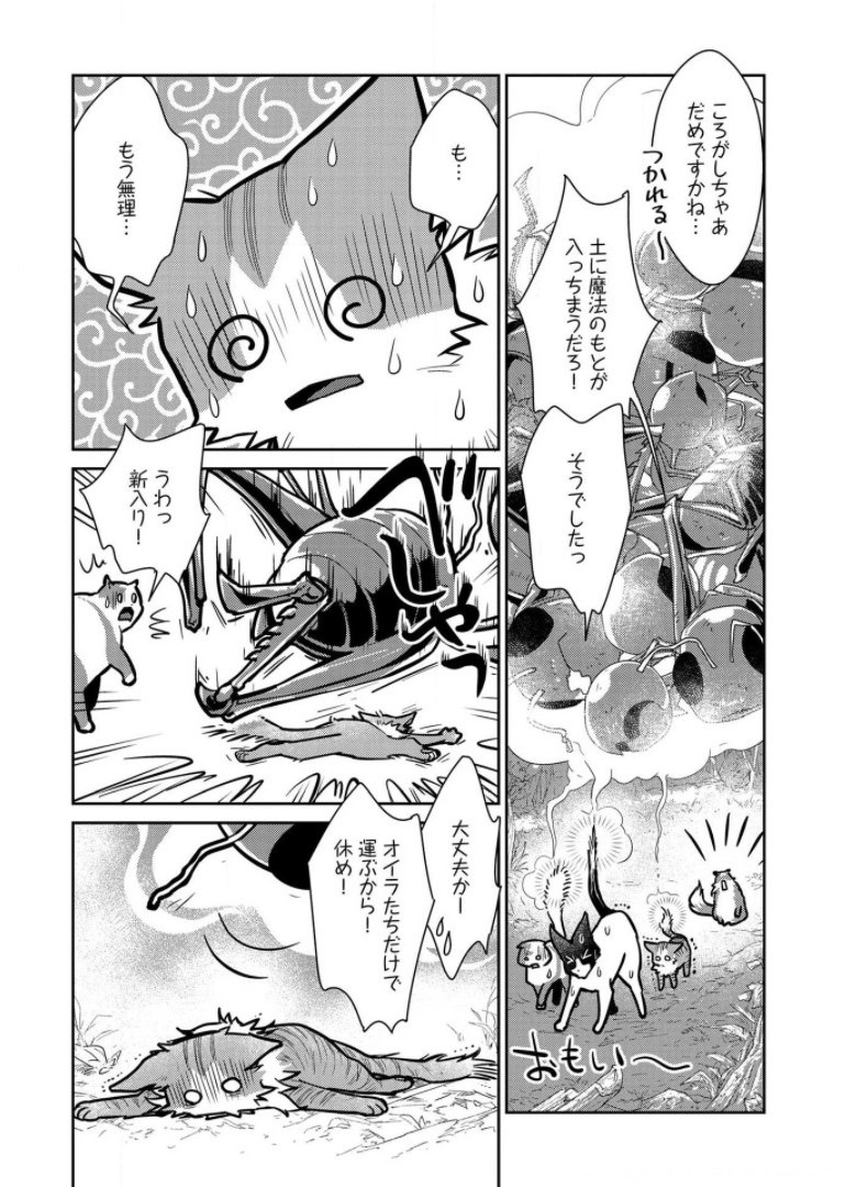 Neko to Ryuu - Chapter 9 - Page 31