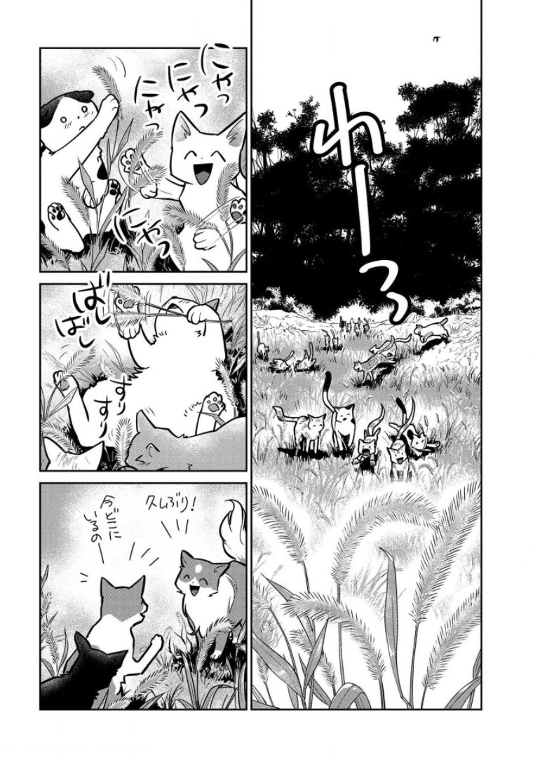 Neko to Ryuu - Chapter 9 - Page 34