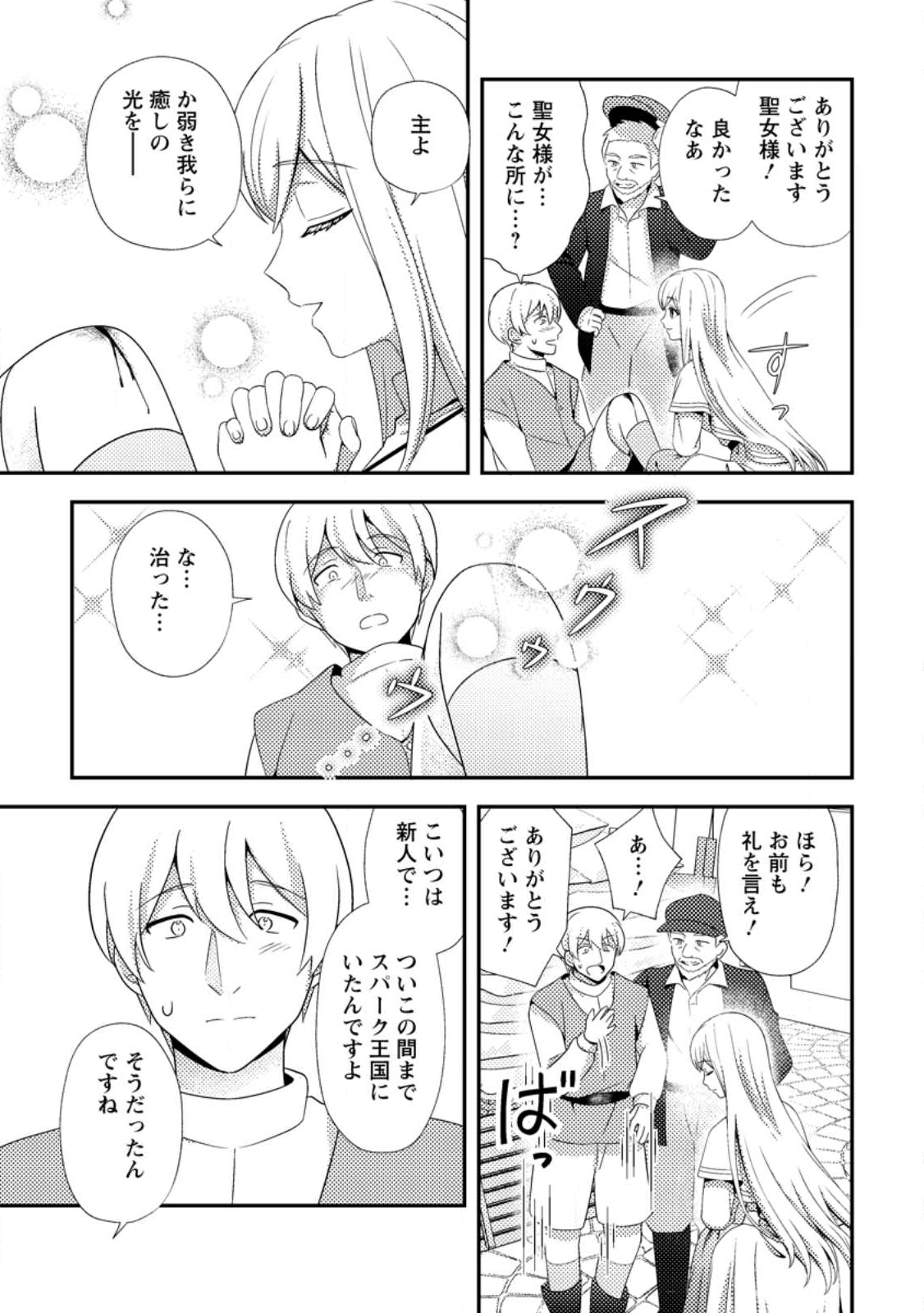 Nisemono ni Ubawareta Seijo no Chii, Nan to Shite mo Torikaesa... Nakute Ikka! - Chapter 11.1 - Page 5