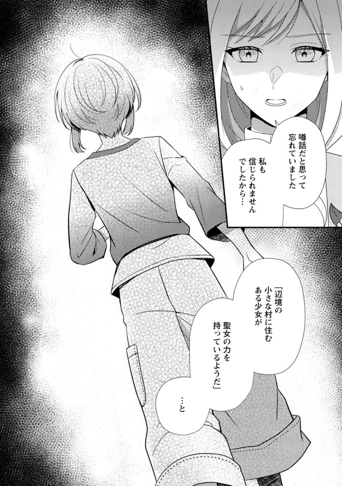 Nisemono ni Ubawareta Seijo no Chii, Nan to Shite mo Torikaesa... Nakute Ikka! - Chapter 15.3 - Page 9