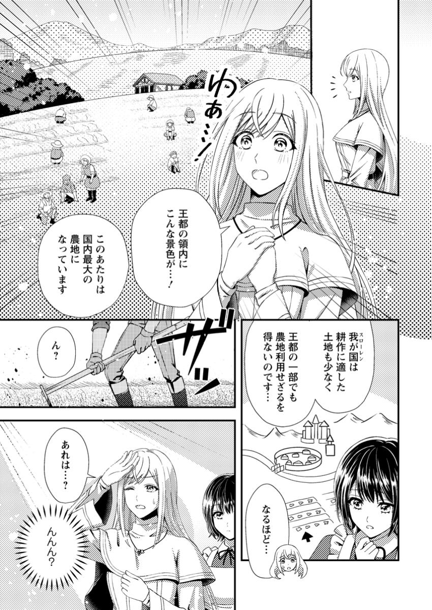 Nisemono ni Ubawareta Seijo no Chii, Nan to Shite mo Torikaesa... Nakute Ikka! - Chapter 4.1 - Page 7