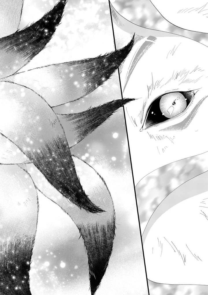 A Rare Blood Girl and a Mysterious Fox - Chapter 20 - Page 14