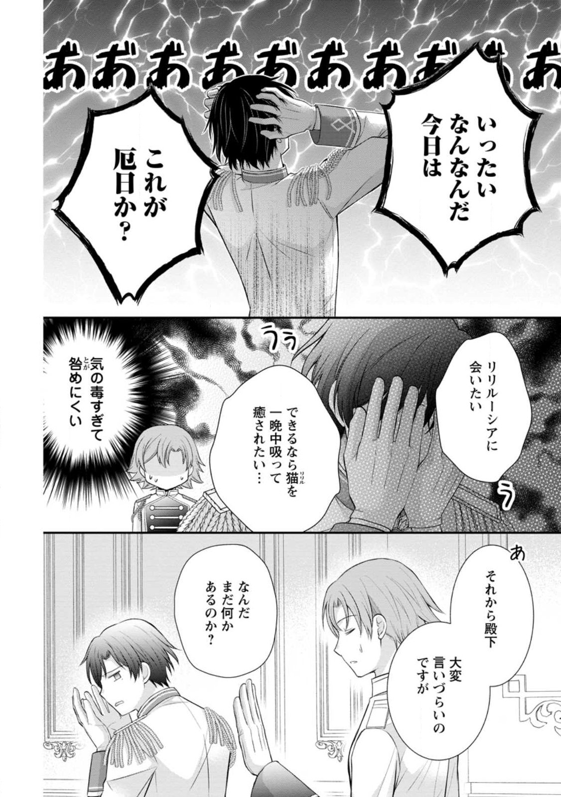 Noroi de Neko ni Sareta Akujo, Outaishi ni Hirowareru. - Chapter 18.3 - Page 3