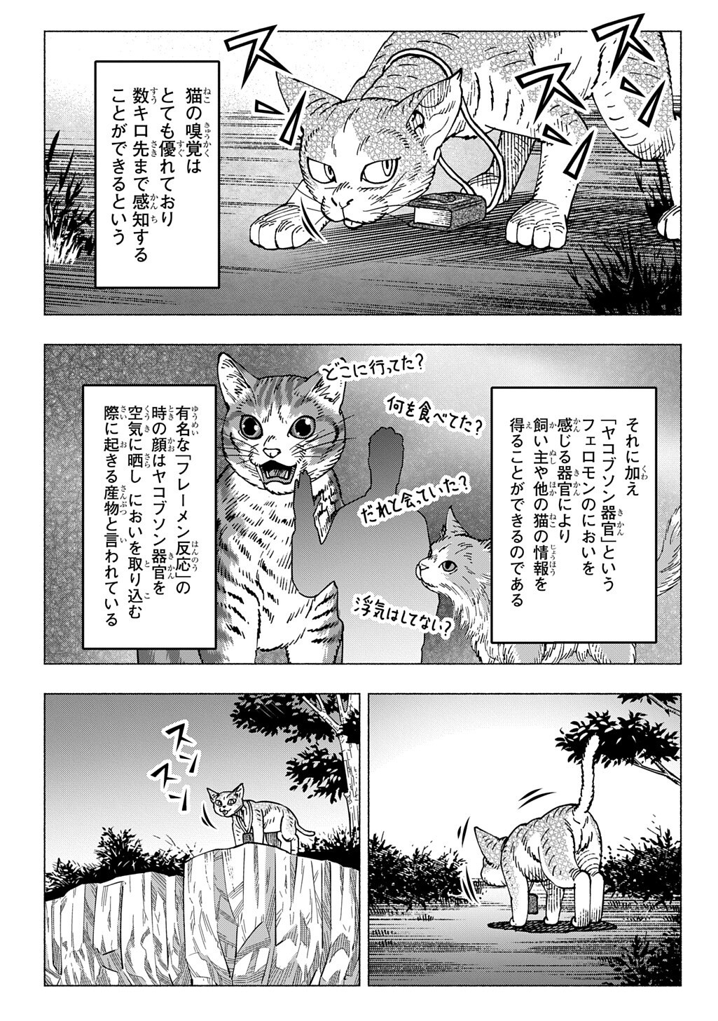 Nyaight of the Living Cat - Chapter 25.5 - Page 18