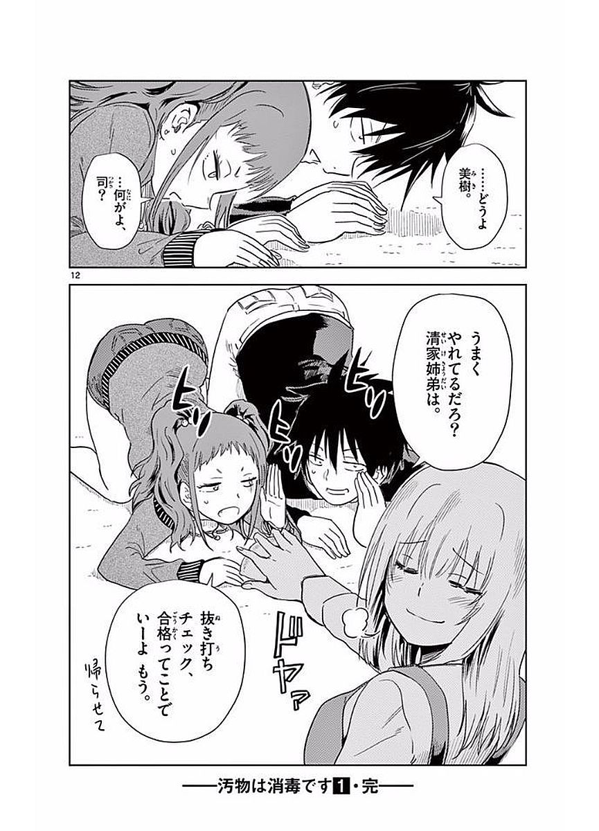 Obutsu wa Shoudoku desu - Chapter 11 - Page 12