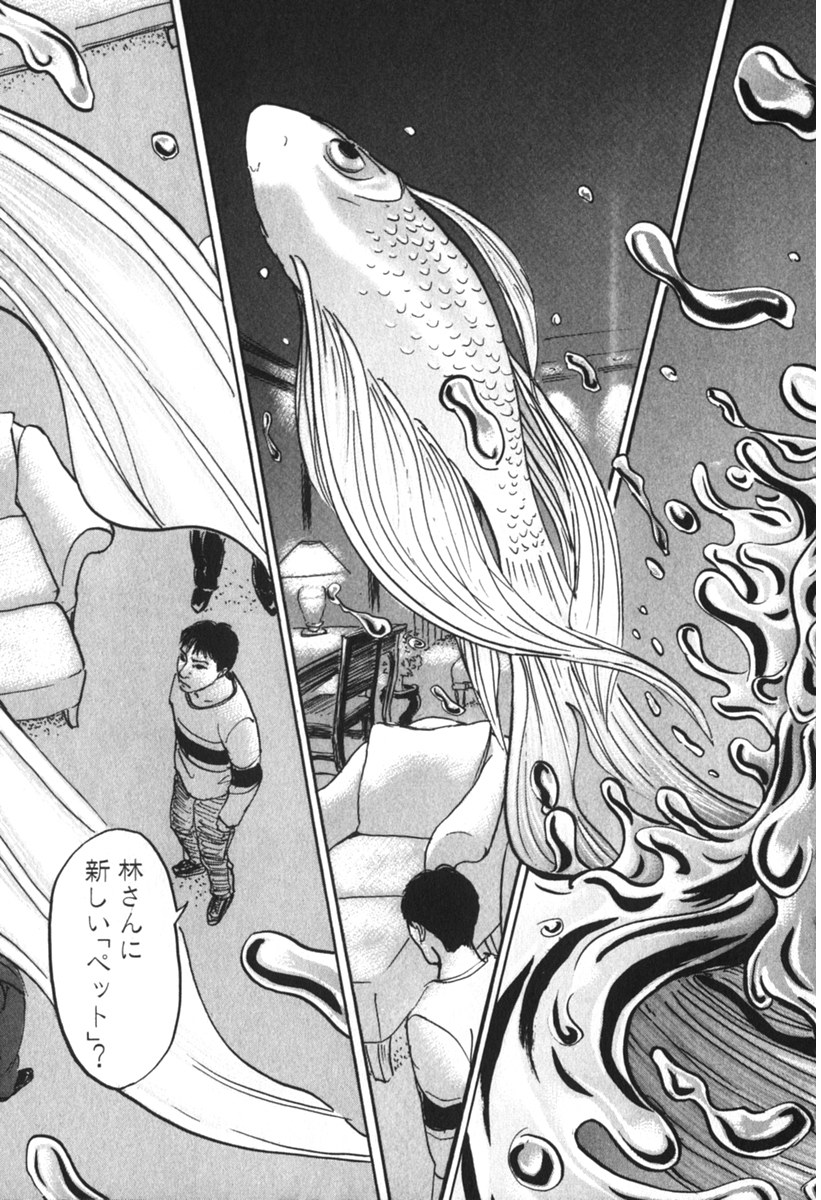 Pet (MIYAKE Ranjou) - Chapter 36 - Page 11