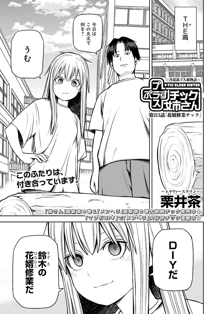 Plastic Nee-san - Chapter 213 - Page 1