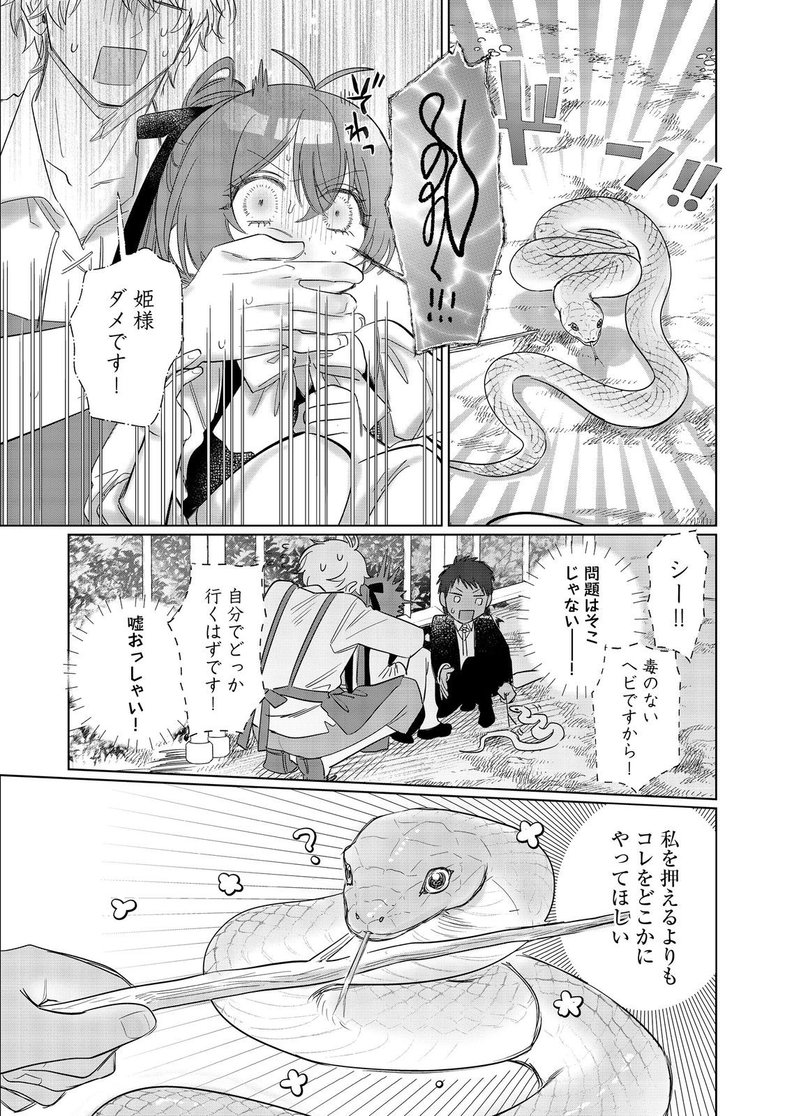 Ponkotsu Outaishi no Mob Ane Oujorashii kedo, Akuyaku Reijou ga Kawaisou na no de Tasukeyou to Omoimasu - Chapter 24 - Page 16