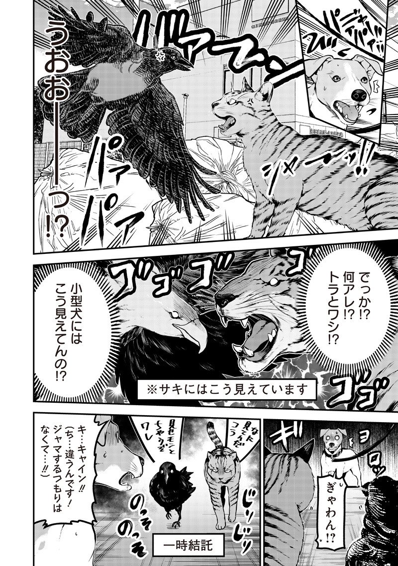 Ponta ga Hito ni narimashite - Chapter 80 - Page 13