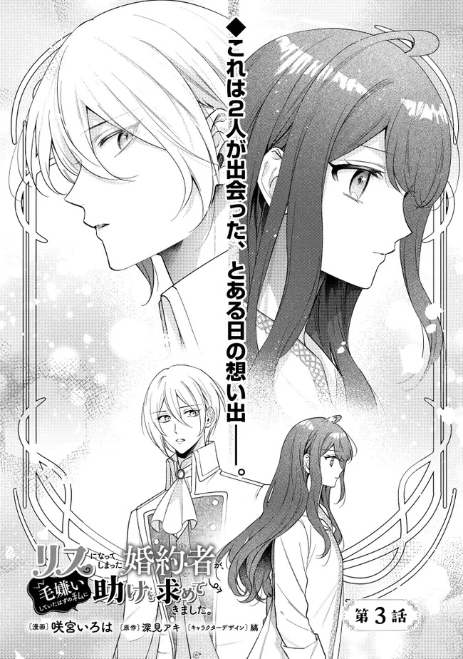 Risu ni Natte Shimatta Kon'yakusha ga, Kegirai Shiteita Hazu no Watashi ni Tasuke o Motomete Kimashita. - Chapter 3.1 - Page 2