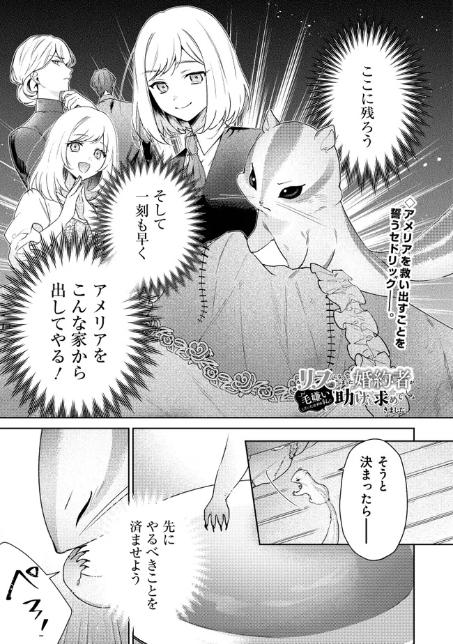 Risu ni Natte Shimatta Kon'yakusha ga, Kegirai Shiteita Hazu no Watashi ni Tasuke o Motomete Kimashita. - Chapter 4.1 - Page 1