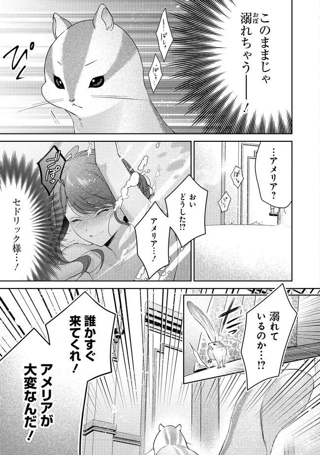 Risu ni Natte Shimatta Kon'yakusha ga, Kegirai Shiteita Hazu no Watashi ni Tasuke o Motomete Kimashita. - Chapter 9.3 - Page 6