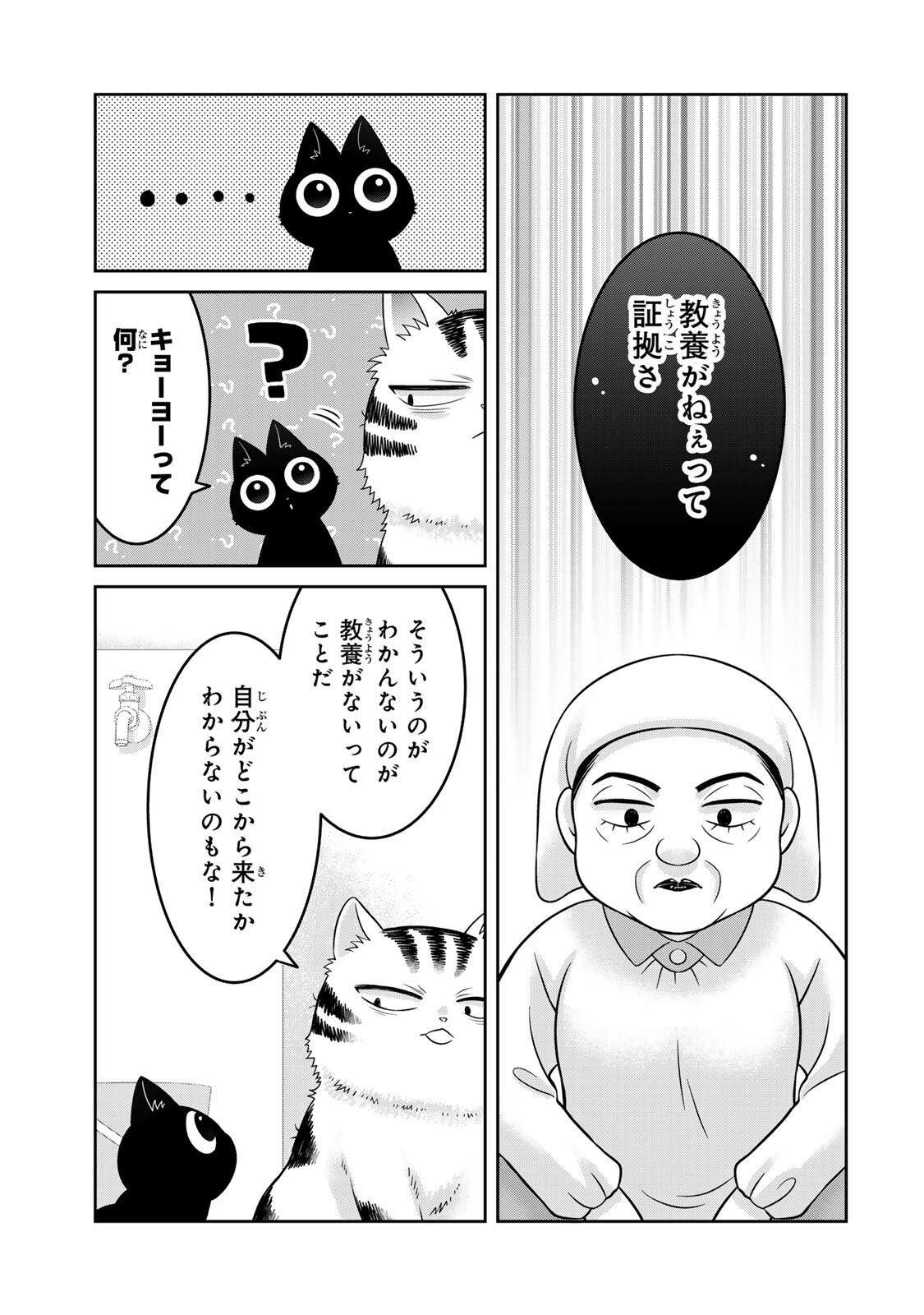 Rudolf to Ippaiattena - Chapter 3 - Page 13