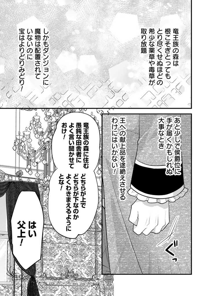 Ryuu ni Sodaterareta Saikyou: Subete o Kiwameta Shounen wa Ningenkai o Musou Suru - Chapter 14.1 - Page 3