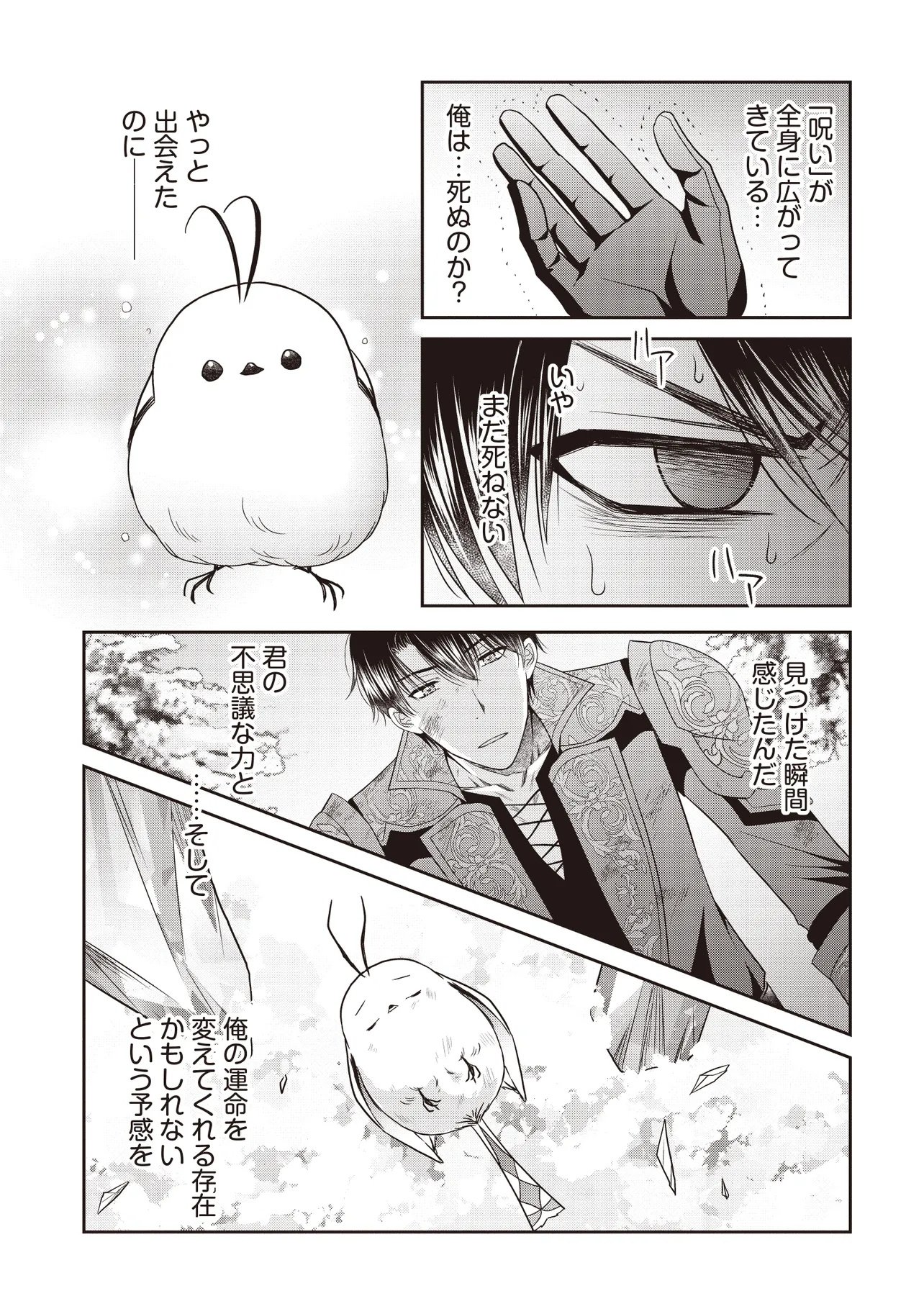 Saikyou Henkyou Haku ni Hirowaremashita, Kotori (Akujo?) desu - Chapter 3 - Page 13