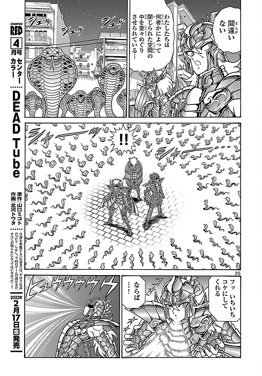 Saint Seiya: Kaiou Saiki - Rerise of Poseidon - Chapter 2 - Page 26