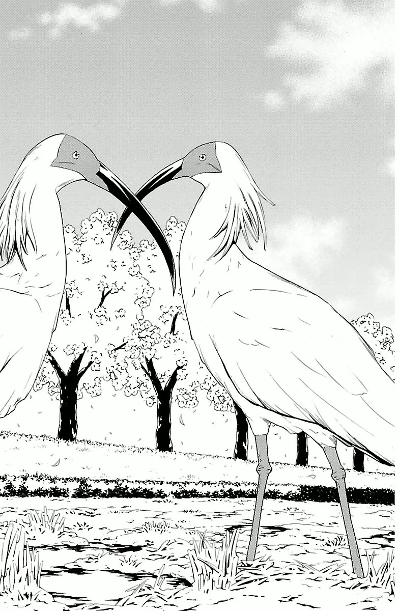 Sakura Sakura (Morishige) - Chapter 5 - Page 4