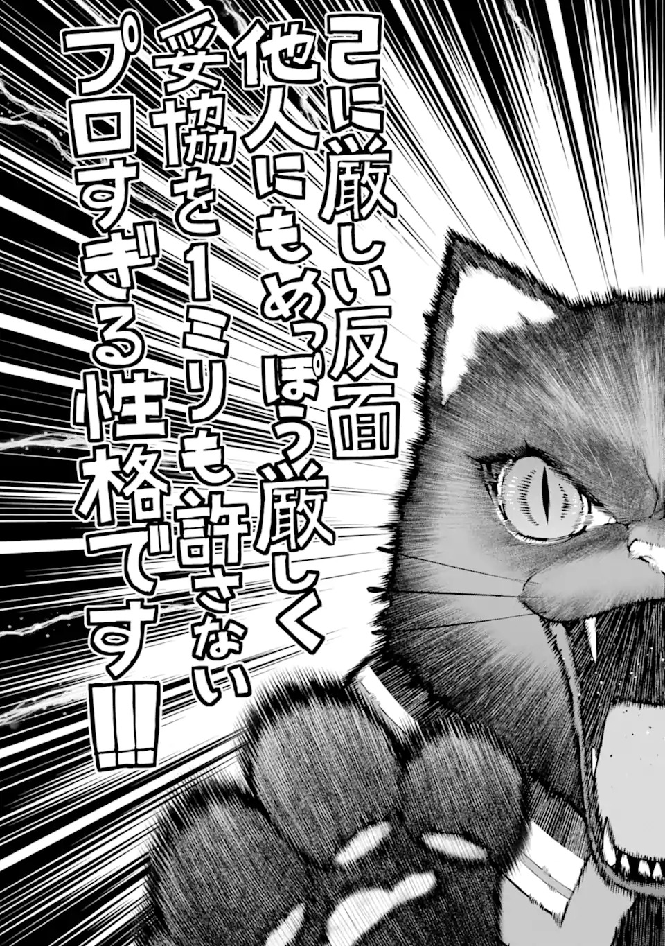 Sasen Renkinjutsushi no Henkyou Kurashi - Chapter 1 - Page 27