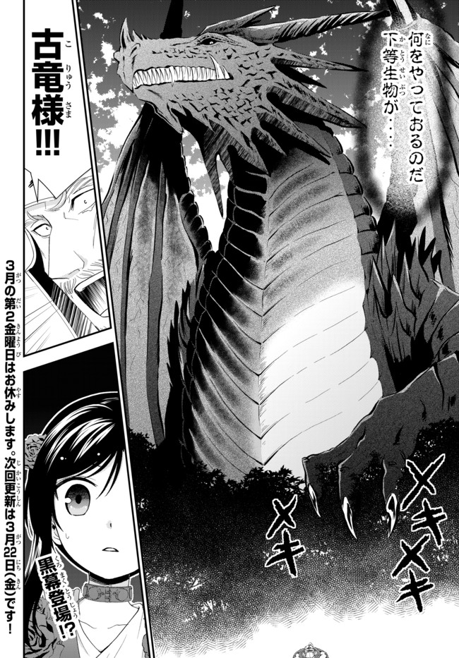 Rougo ni Sonaete Isekai de 8-manmai no Kinka o Tamemasu - Chapter 32.2 - Page 14