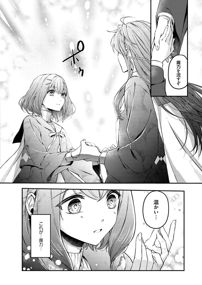 Seijo no Maryoku wa Bannou desu ~Mouhitori no Seijo~ - Chapter 1.1 - Page 20