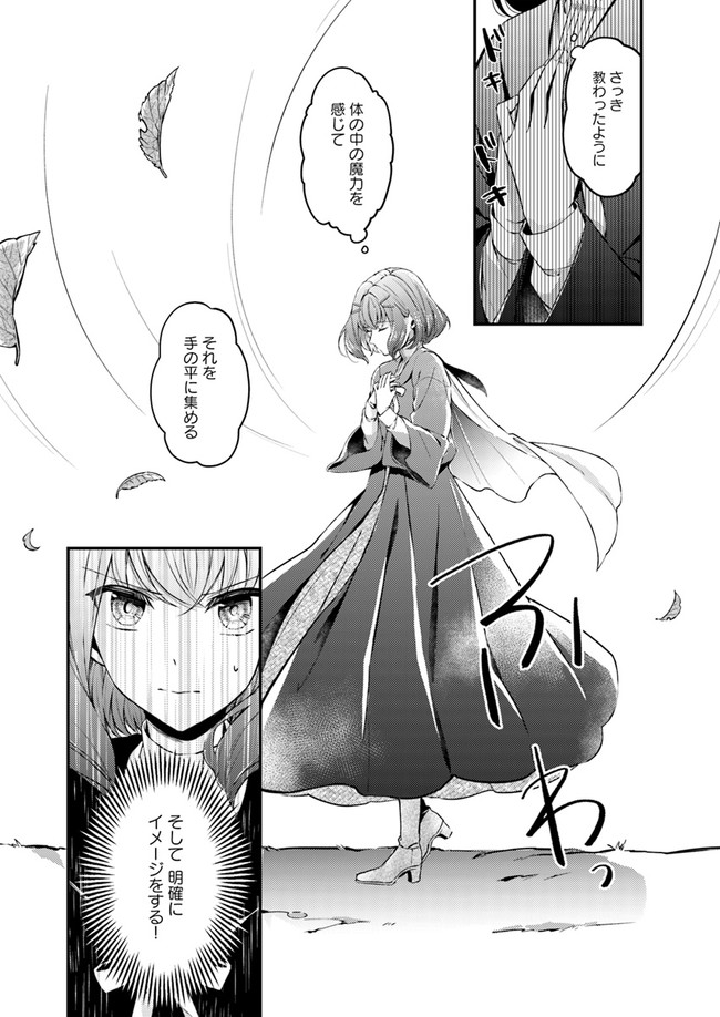 Seijo no Maryoku wa Bannou desu ~Mouhitori no Seijo~ - Chapter 1.1 - Page 23
