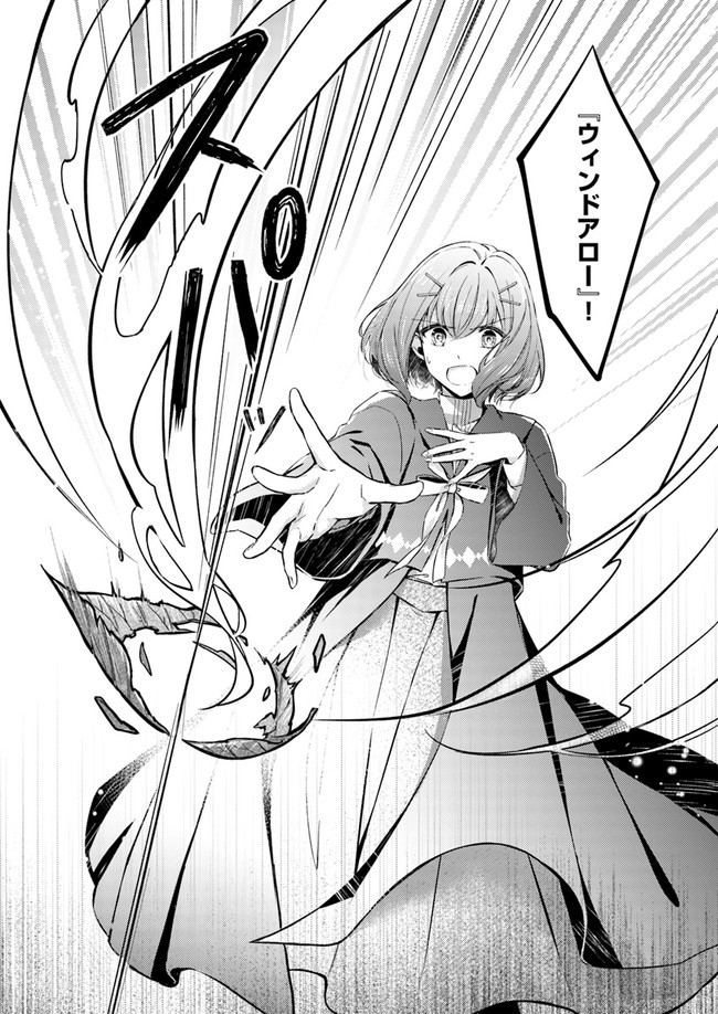 Seijo no Maryoku wa Bannou desu ~Mouhitori no Seijo~ - Chapter 1.1 - Page 24