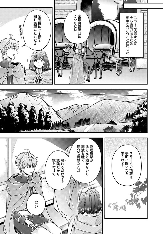 Seijo no Maryoku wa Bannou desu ~Mouhitori no Seijo~ - Chapter 10.1 - Page 7