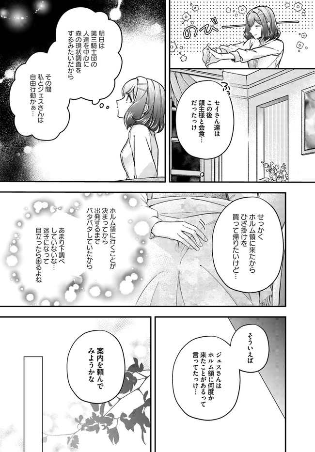 Seijo no Maryoku wa Bannou desu ~Mouhitori no Seijo~ - Chapter 12.4 - Page 6