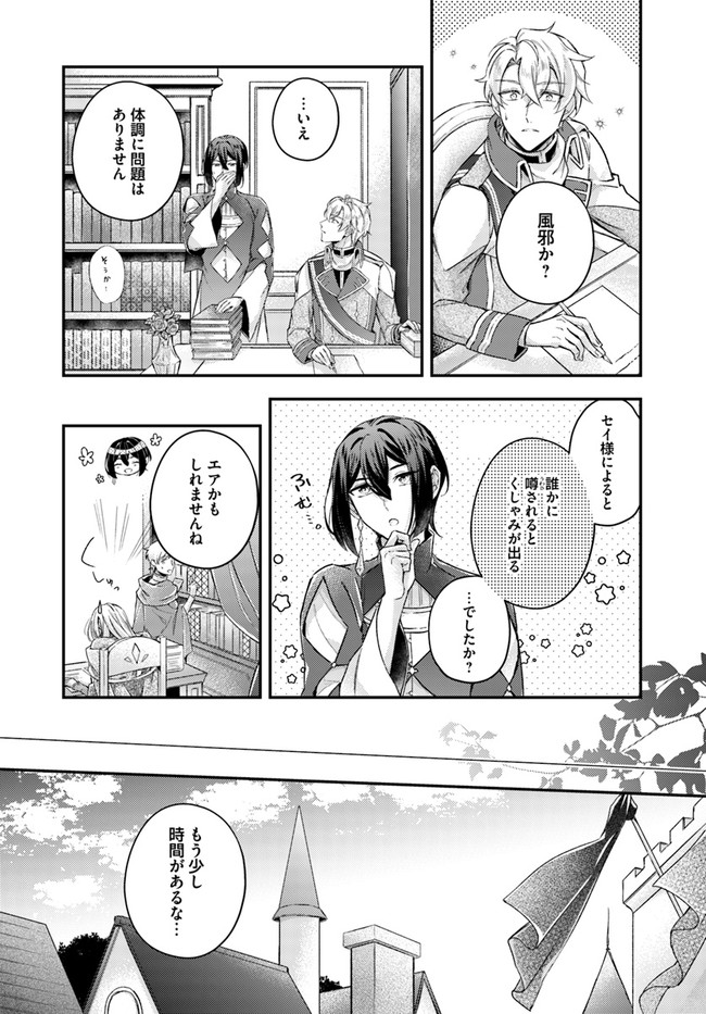 Seijo no Maryoku wa Bannou desu ~Mouhitori no Seijo~ - Chapter 13.4 - Page 4