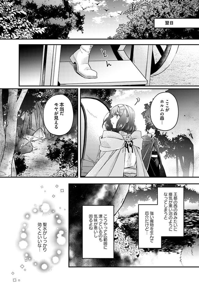 Seijo no Maryoku wa Bannou desu ~Mouhitori no Seijo~ - Chapter 14.1 - Page 6