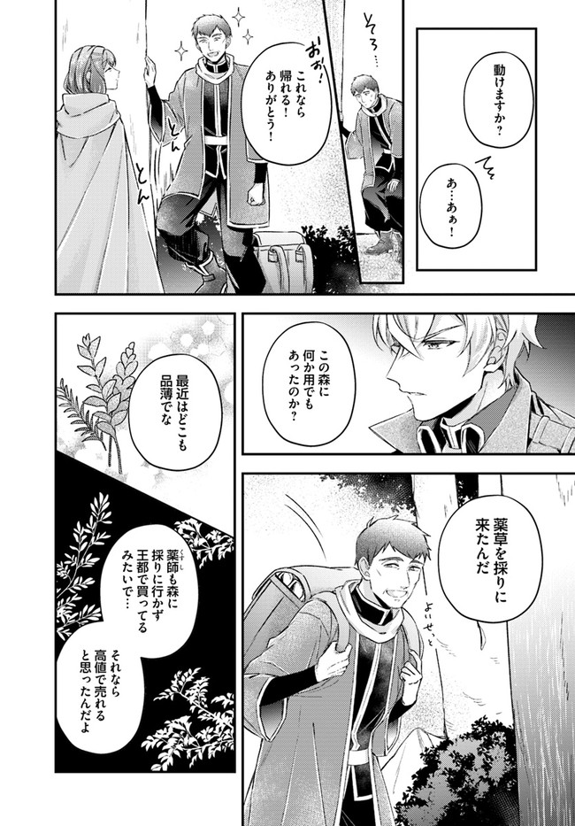 Seijo no Maryoku wa Bannou desu ~Mouhitori no Seijo~ - Chapter 15.1 - Page 4
